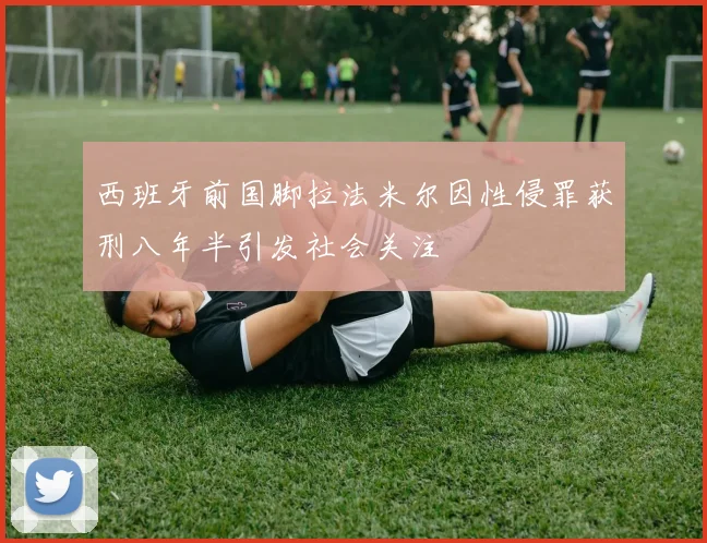 西班牙前国脚拉法米尔因性侵罪获刑八年半引发社会关注