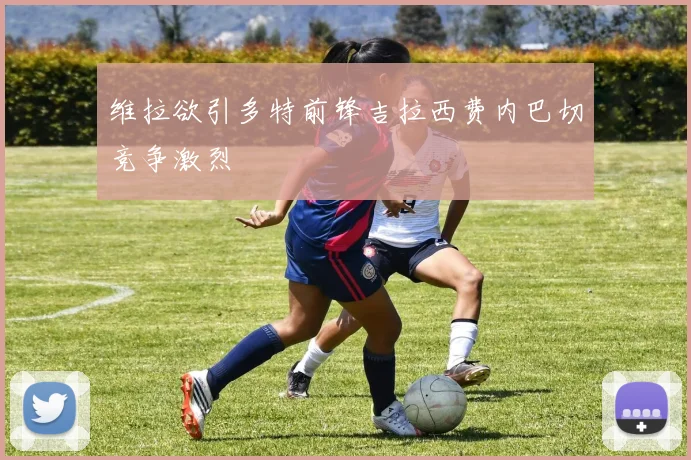 维拉欲引多特前锋吉拉西费内巴切竞争激烈